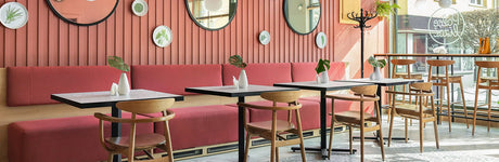 Scaune Paged si Fameg