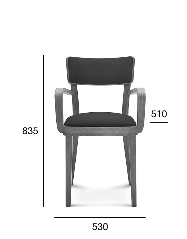 Scaun cu brațe Fameg Solid B-9449/1 tapițat complet