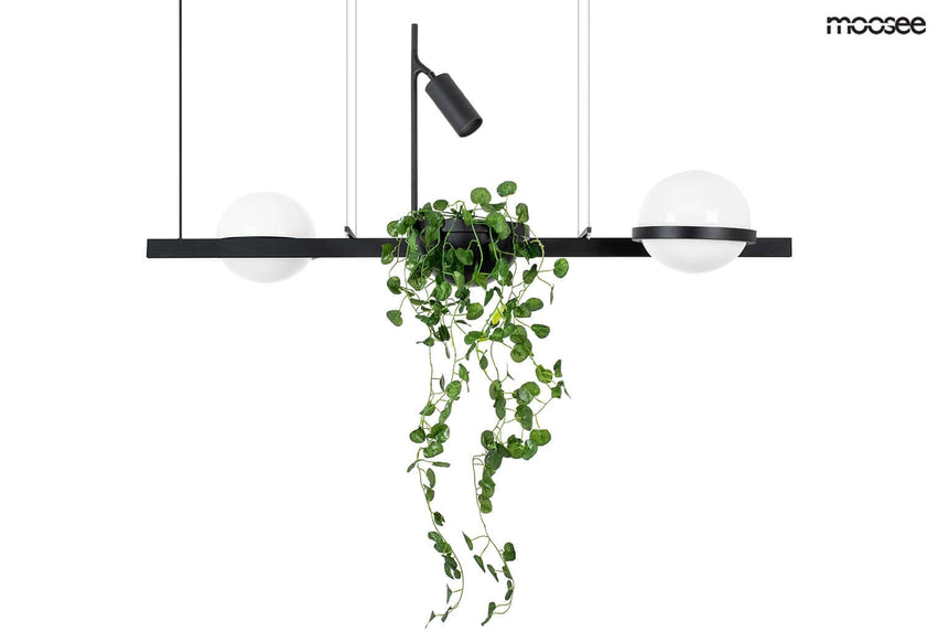 lampă suspendată Plant negruMobCenter