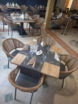 Scaun de terasă Lion cu pernă - cadru aluminiu