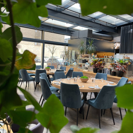 Scaun de dining David – disponibil în culori la alegereMobCenter