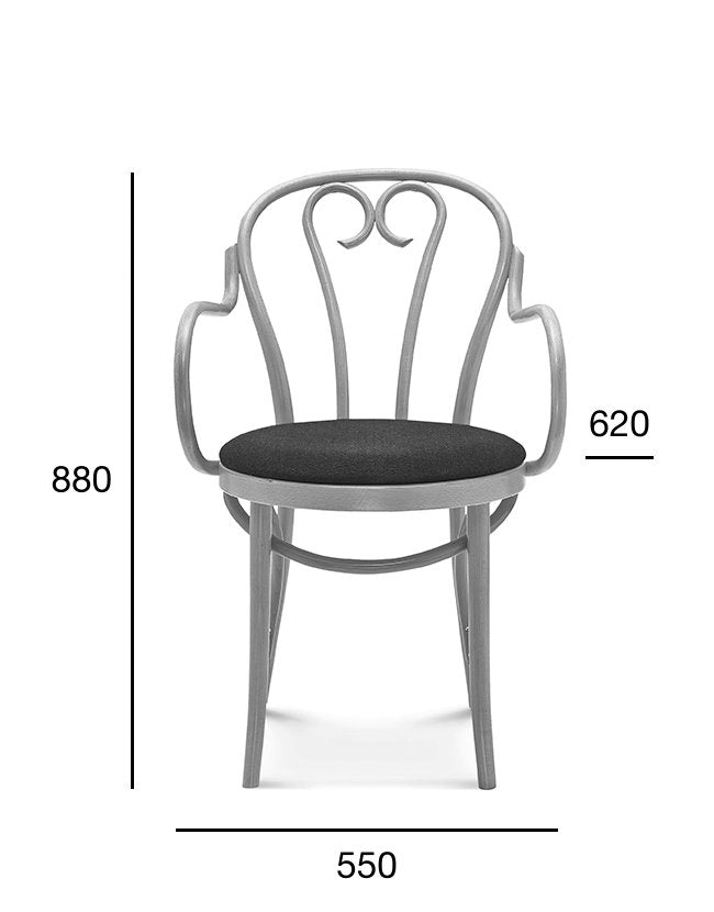 Scaun cu brațe Fameg 16 B-16 – tapițat, spătar decorativ