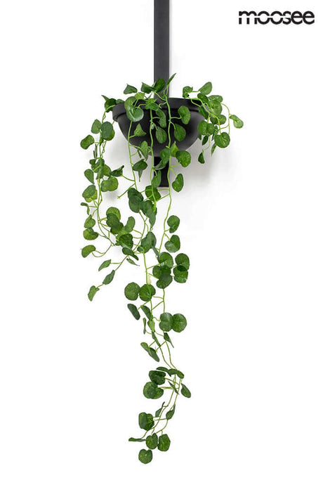 lampă de perete Plant Wall negruMobCenter