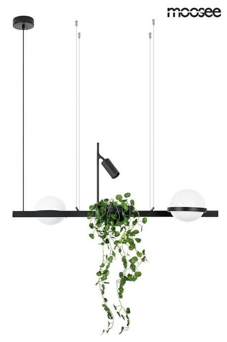 lampă suspendată Plant negruMobCenter